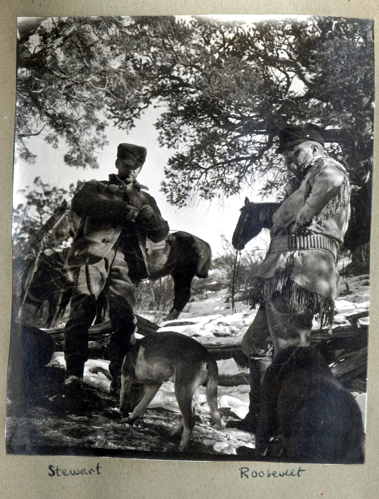 vieille photographie de Stewart et Roosevelt