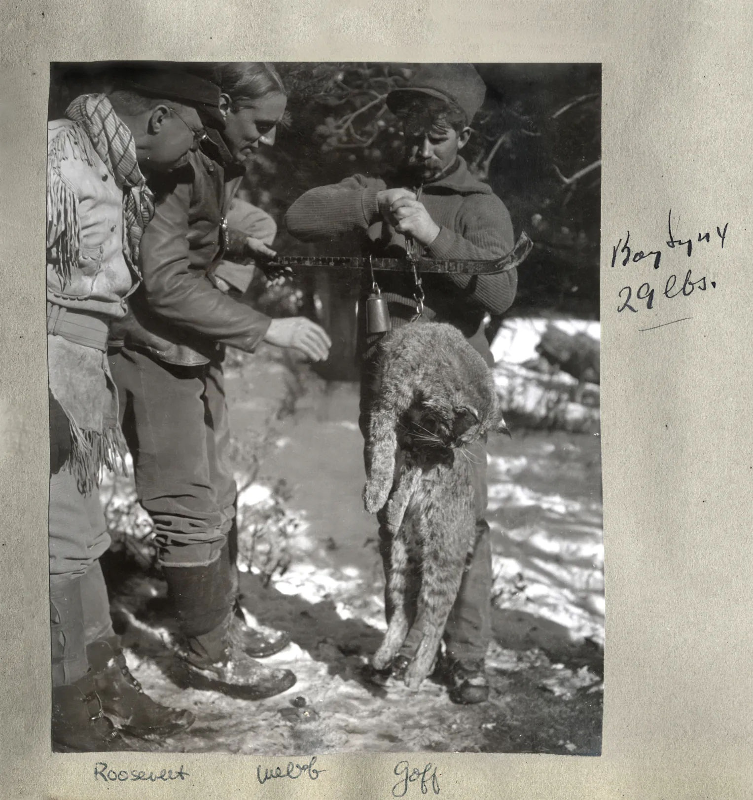 vieille photographie de TR et de deux autres chasseurs avec un chat sauvage mort