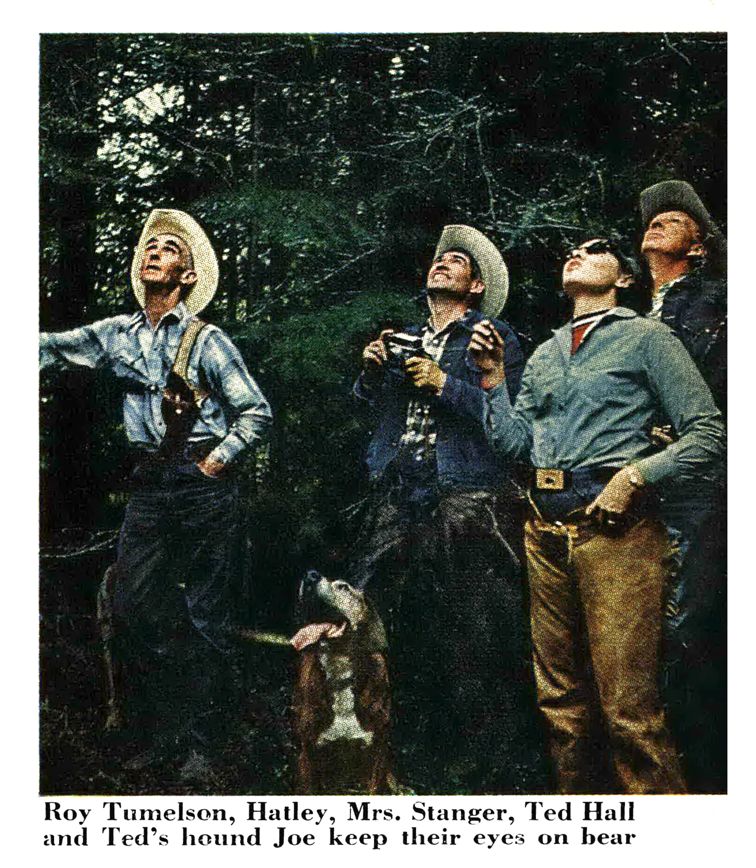 Un trio de chasseurs observe un ours dans un arbre.