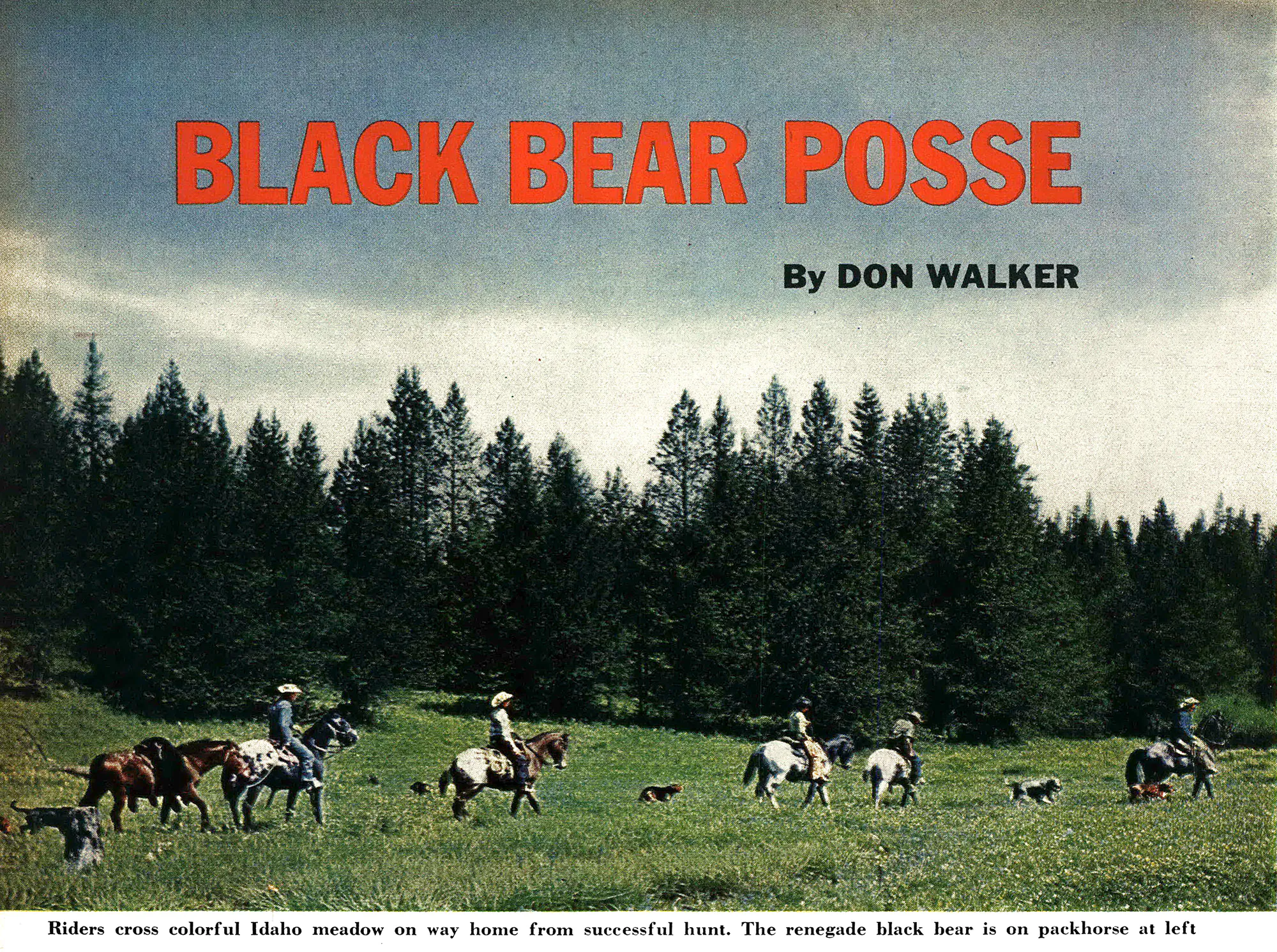 Une vieille photo de chasseurs à cheval aux côtés de chiens ours.