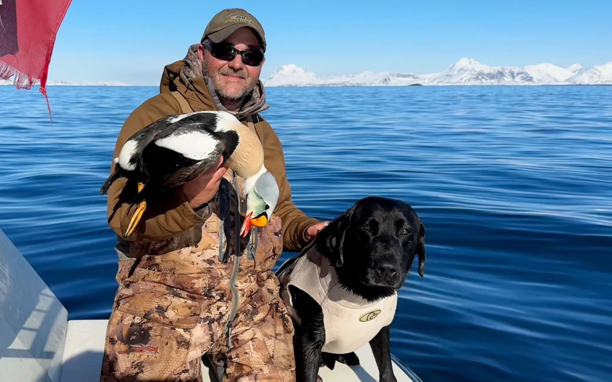 Un chasseur de canards et son labrador noir en chasse au Groenland.