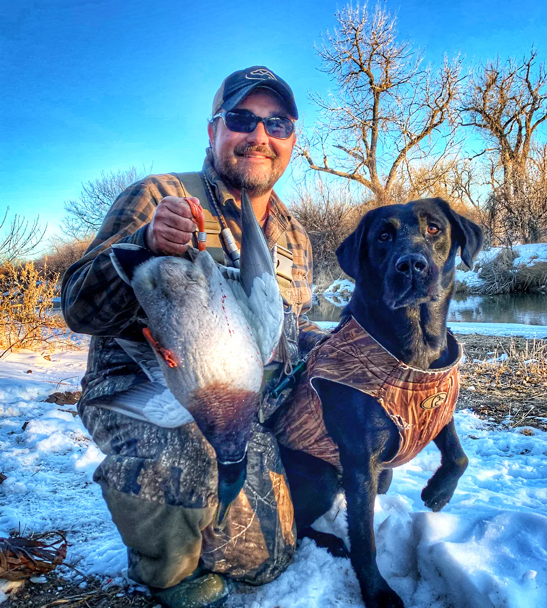 Un chasseur de canards et son chien avec un canard colvert bagué.
