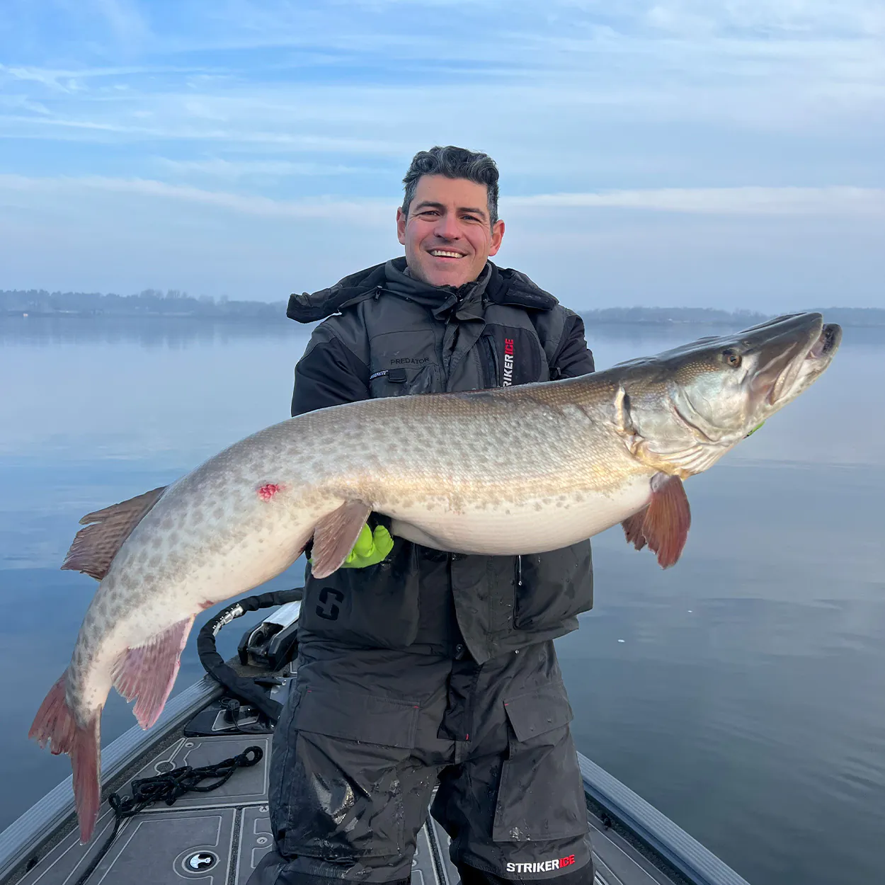 Un pêcheur à la ligne avec un énorme maskinongé sur le fleuve Saint-Laurent.