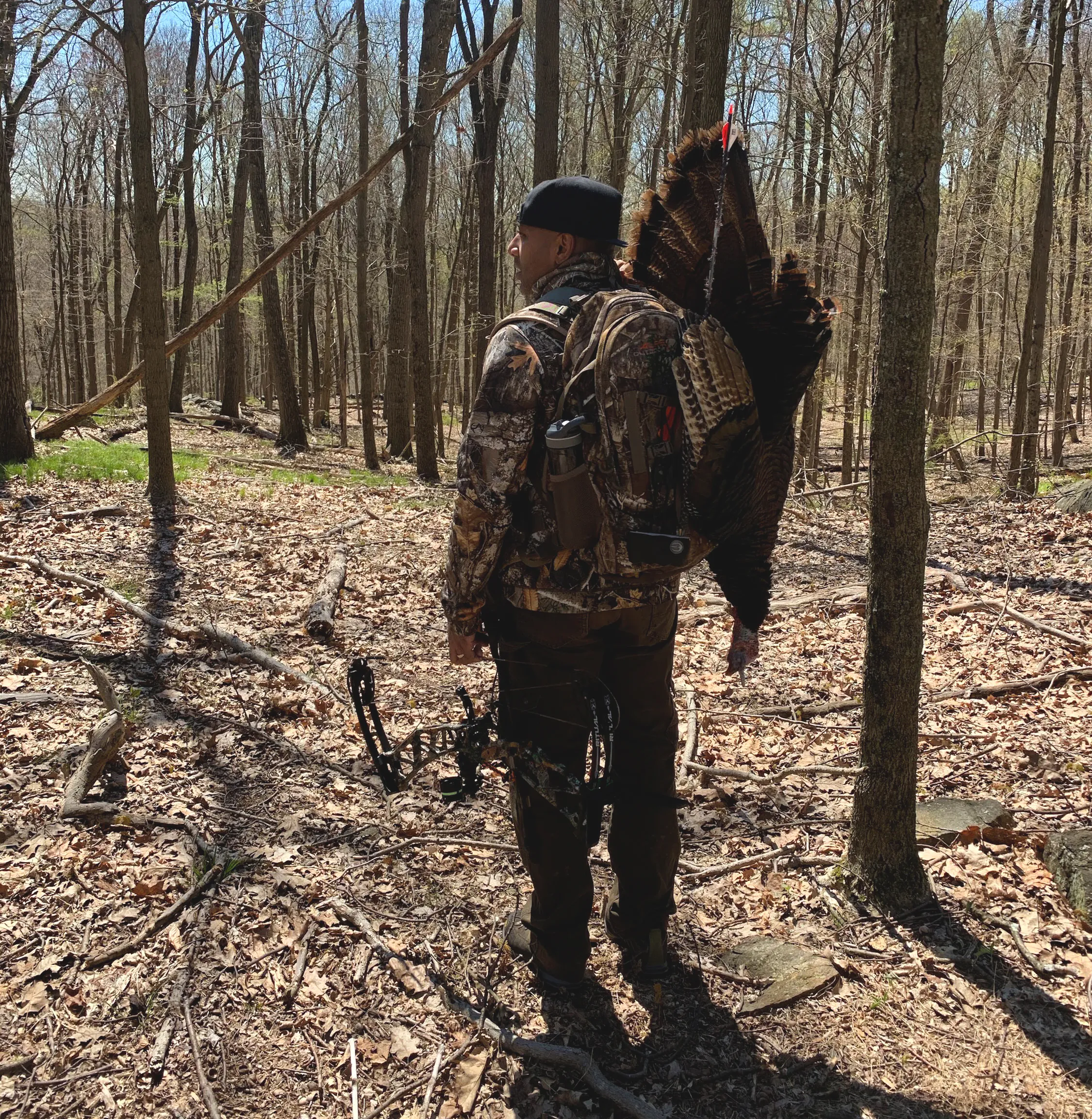 Un chasseur à l'arc urbain qui a fait le voyage dans les bois de dindes du printemps.