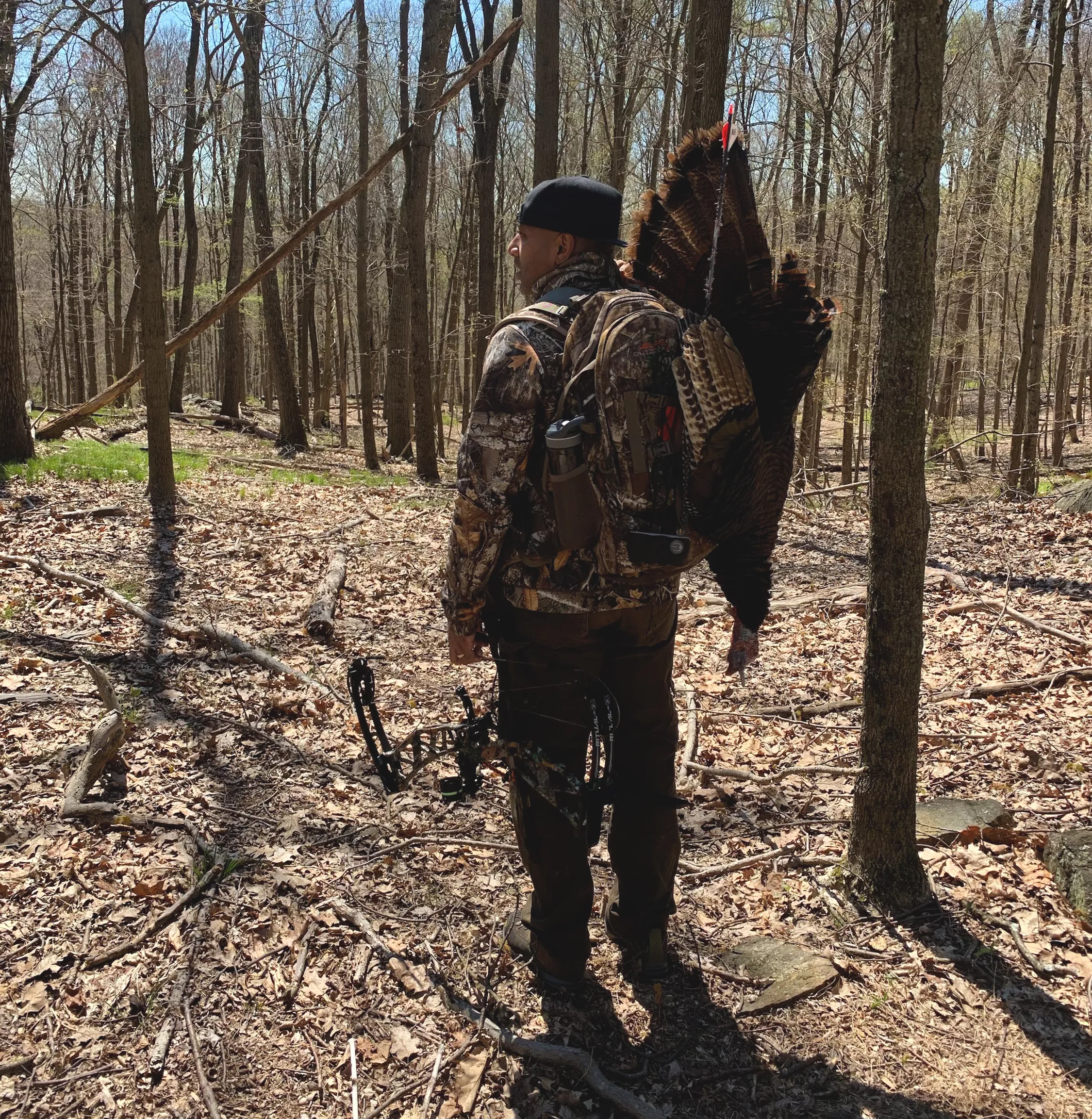 Un chasseur à l'arc urbain qui a fait le voyage dans les bois de dindes du printemps.