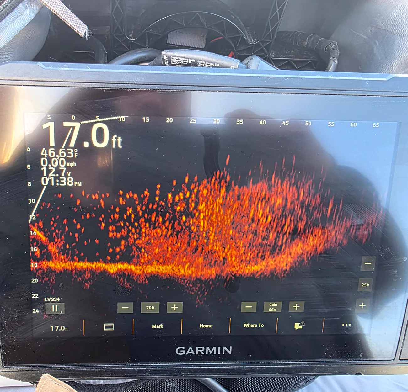 Un écran sonar montre un tas de broussailles rempli de poissons.