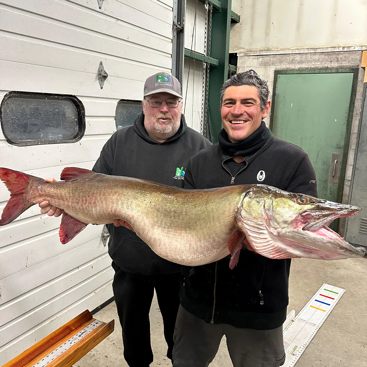 Un pêcheur à la ligne et un biologiste des pêches avec un énorme maskinongé.