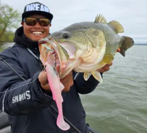 Podcast Quick Strike : 3 gros appâts pour basses que vous devriez lancer ce printemps