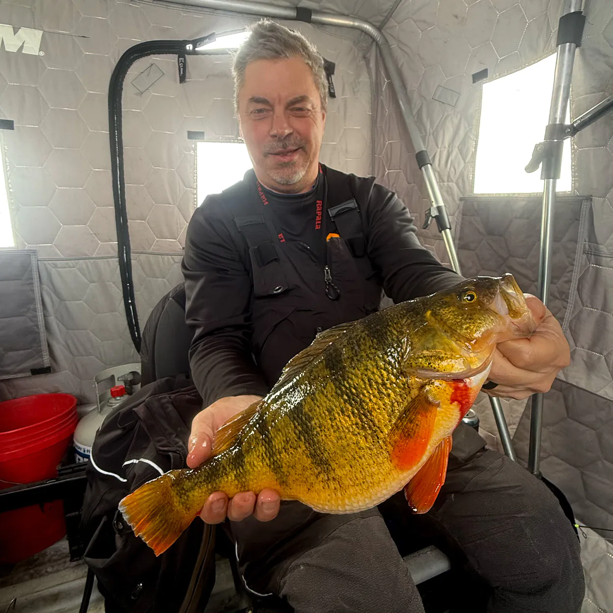 Un pêcheur sur glace brandit une grosse perchaude à l’intérieur d’un bidonville.