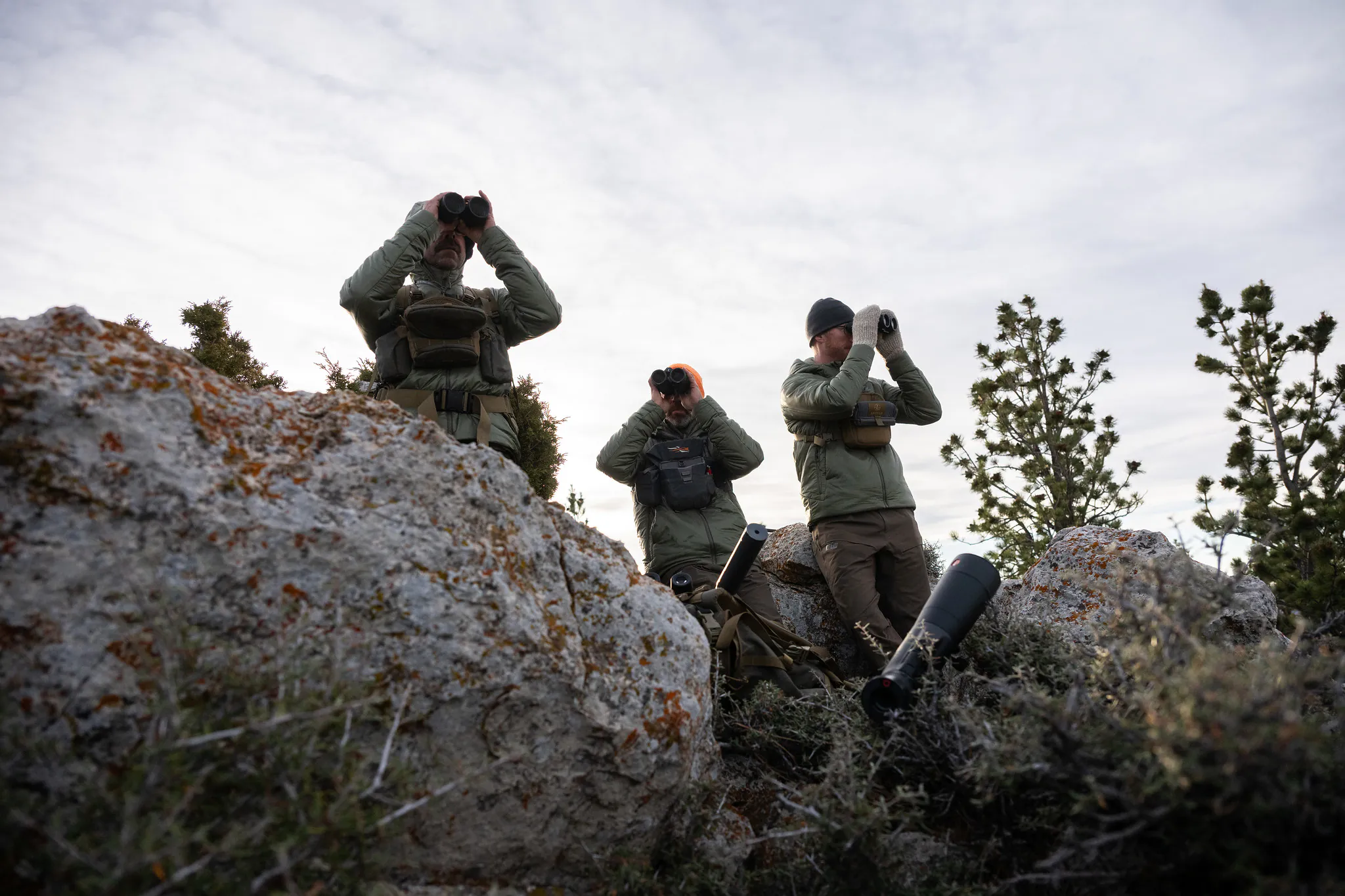 chasse au wapiti