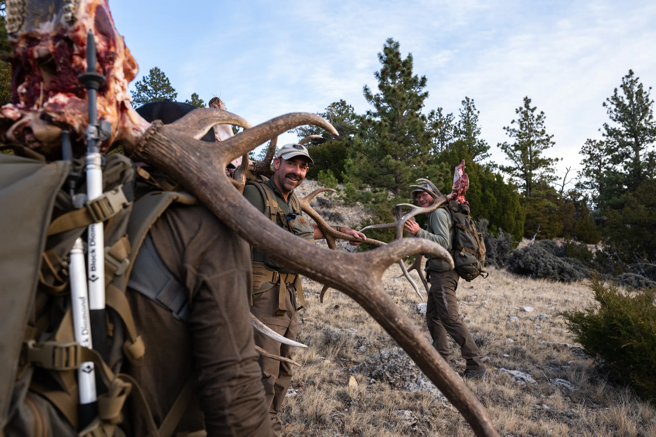 chasse au wapiti dans le Wyoming