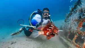 Ces plongeurs de poissons-lions défendent les récifs de Floride – en harponnant un poisson venimeux à la fois