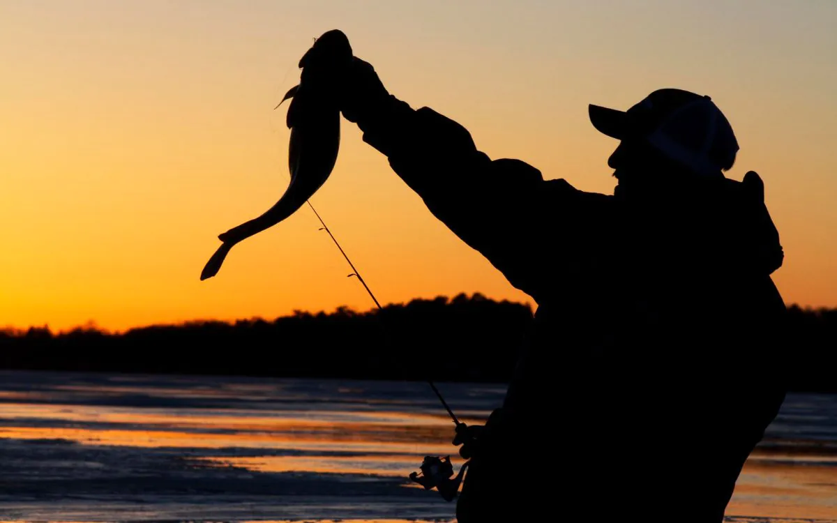 Un pêcheur tient une lotte après l'avoir attrapée alors que le soleil se couche en arrière-plan