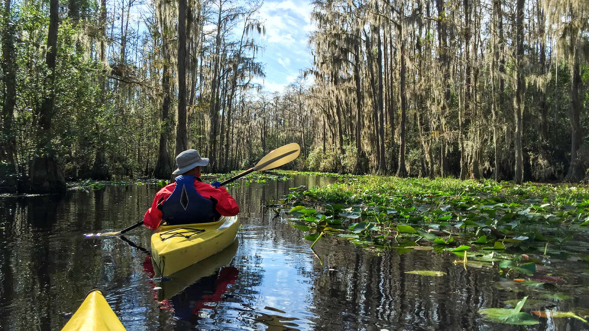 Un pagayeur dans le marais d'Okefenokee.