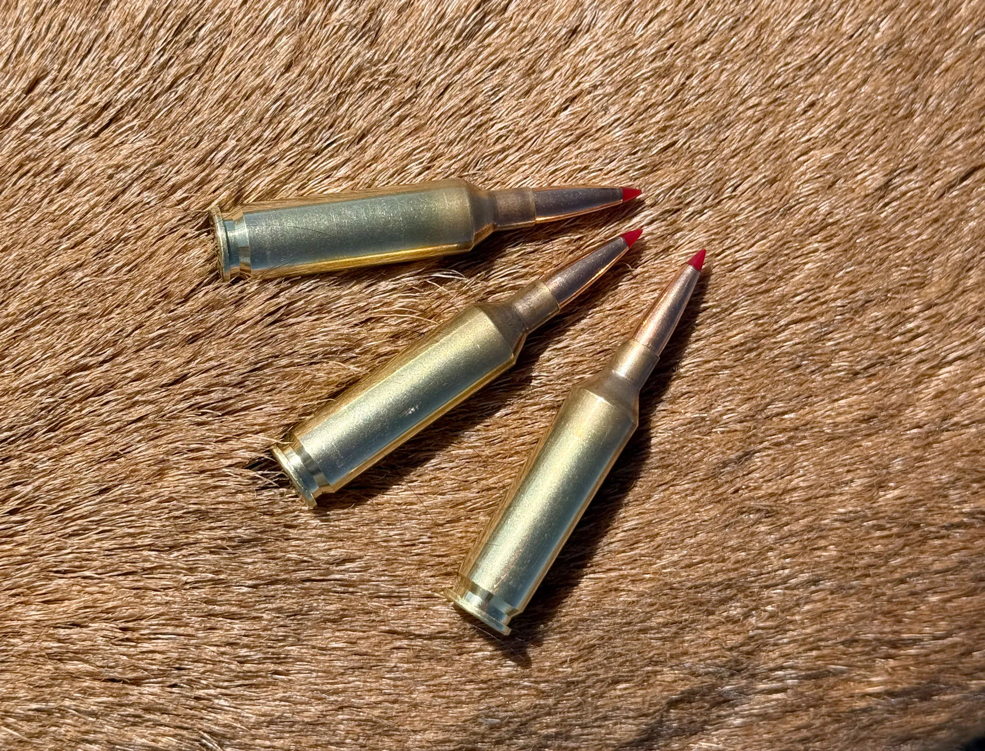 22 antilopes Creedmoor 65 grains CX