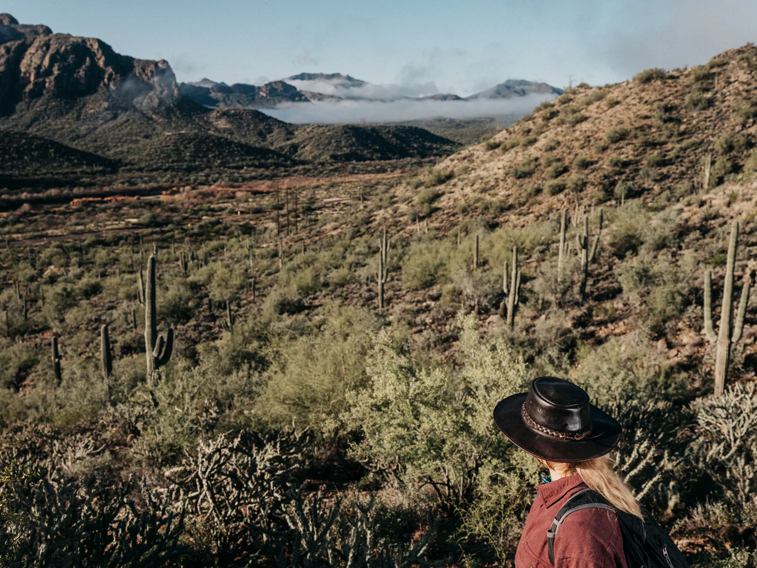 Krebs regarde le paysage de l'Arizona