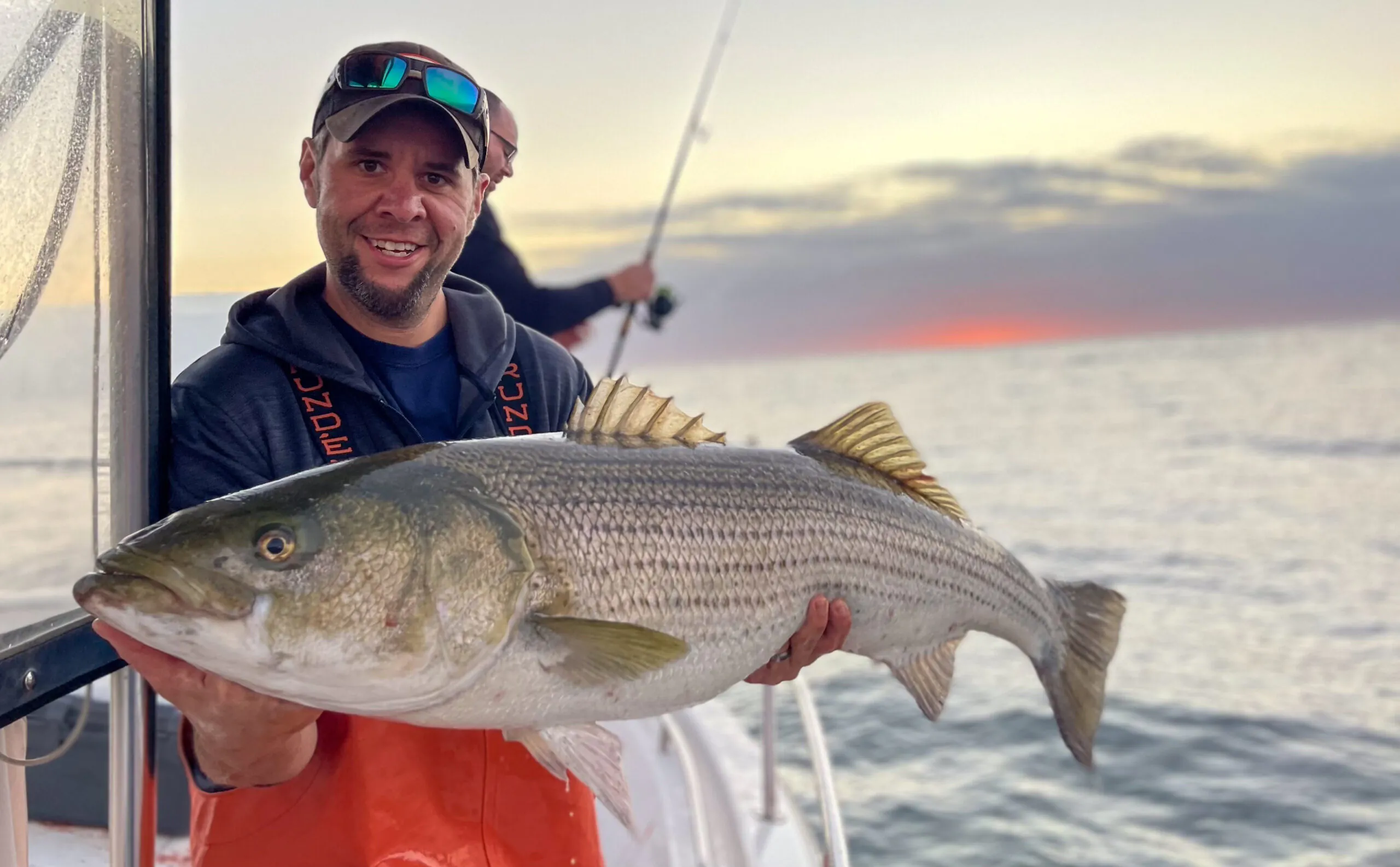 Un pêcheur tient un joli striper sur l'eau.