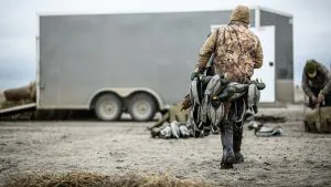 La Saskatchewan déclare que les pourvoyeurs illégaux sont responsables des nouvelles restrictions concernant la sauvagine non résidente