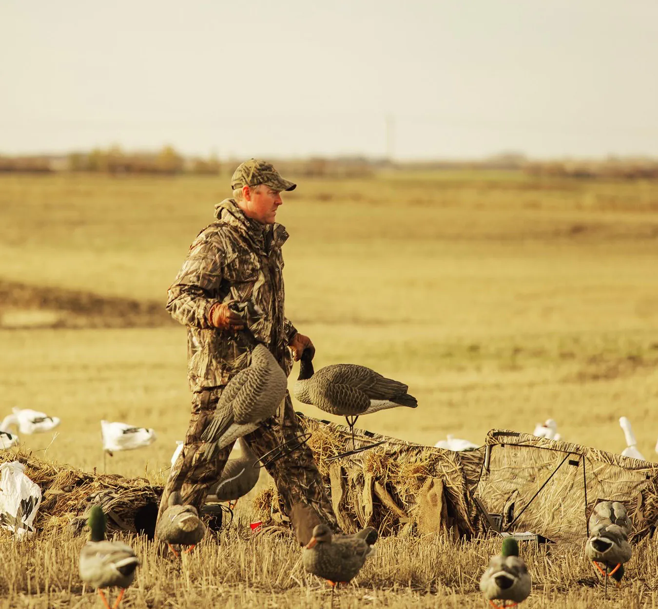 Un chasseur de canards s'apprête à chasser sur le terrain en Saskatchewan.