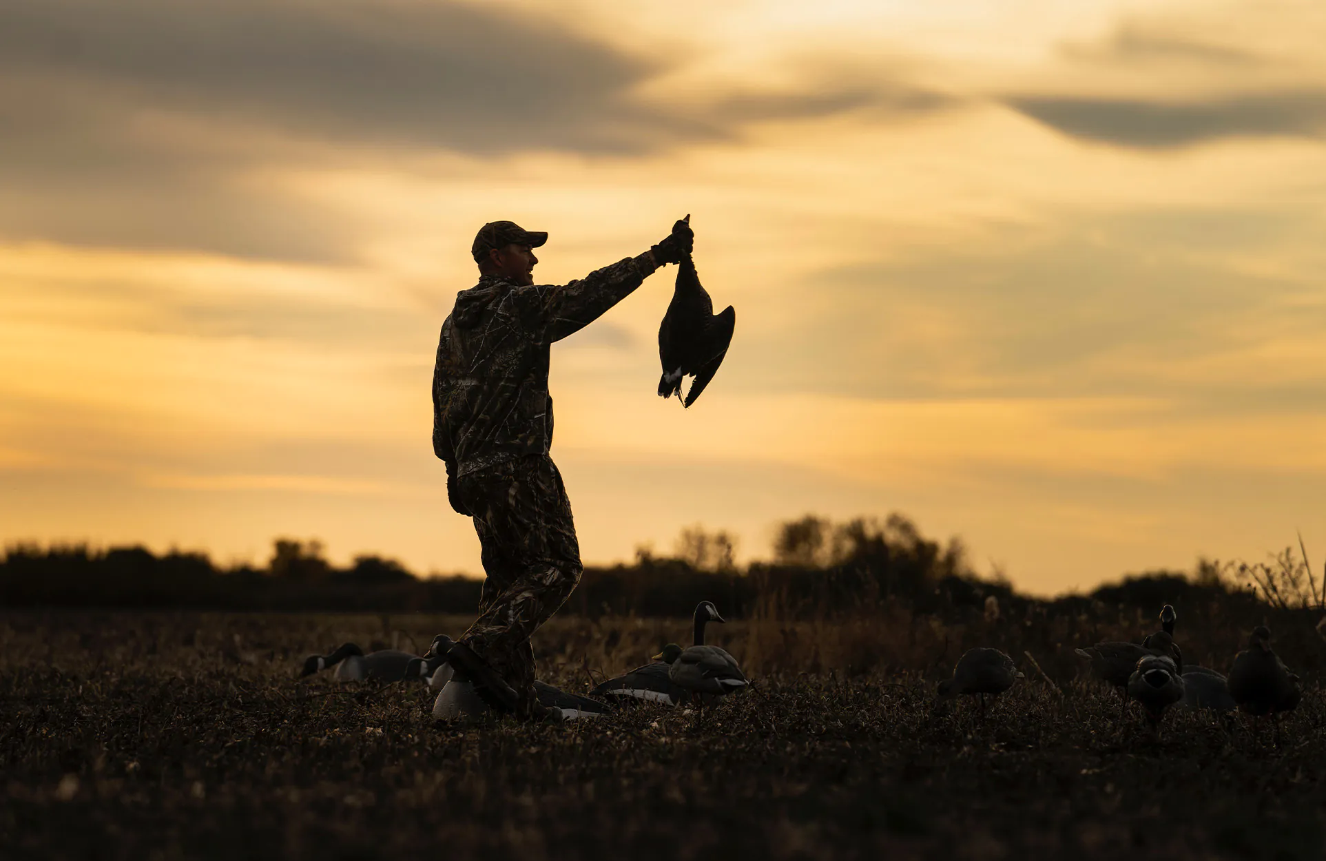 Au Canada, un chasseur de sauvagine brandit une oie.