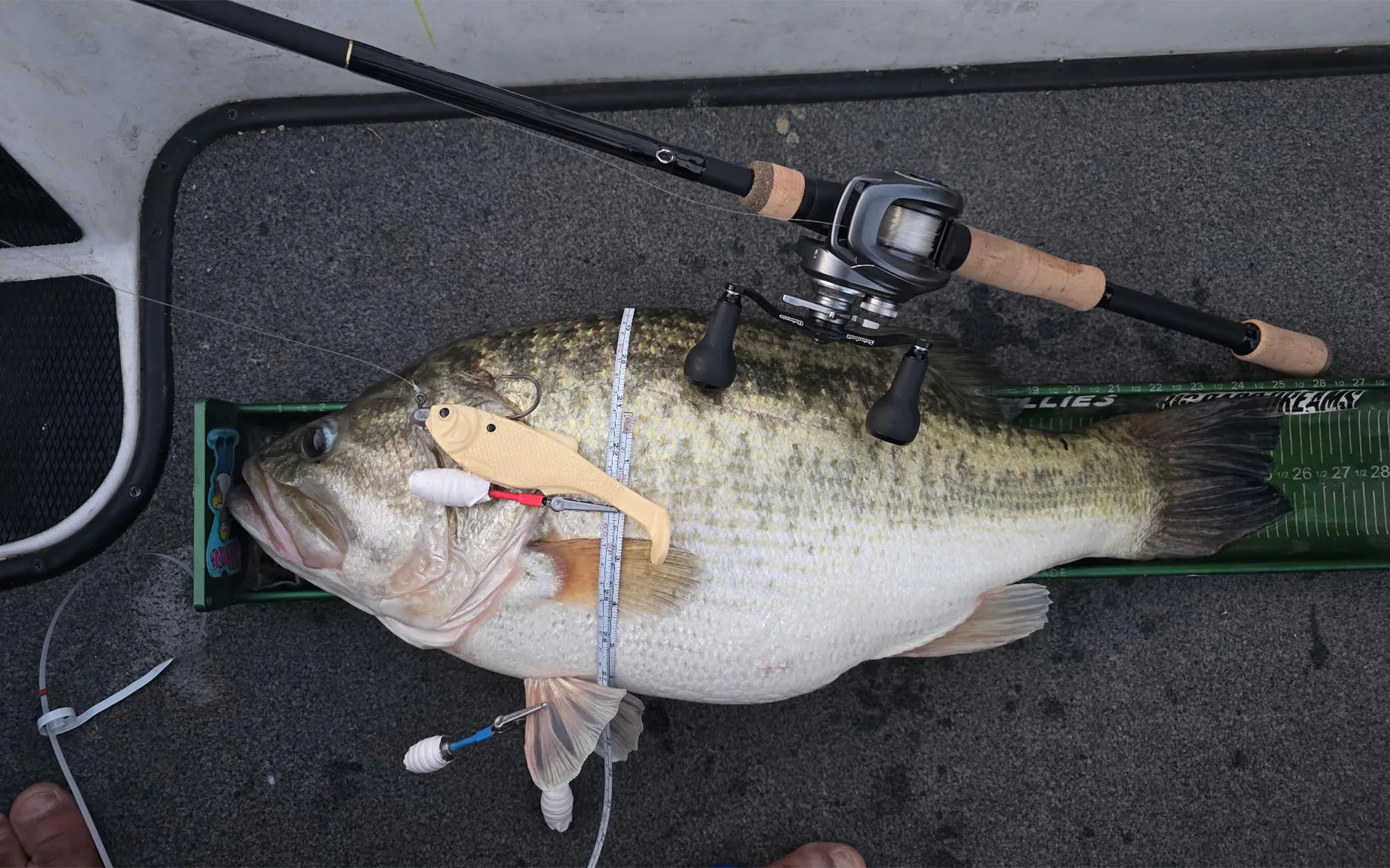 Un trophée à grande bouche sur le pont d'un bass boat.
