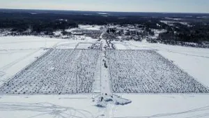 Un pêcheur sur glace a été expulsé d'un tournoi canadien de doré jaune suite à des accusations de tricherie. Il y avait 100 000 $ en jeu
