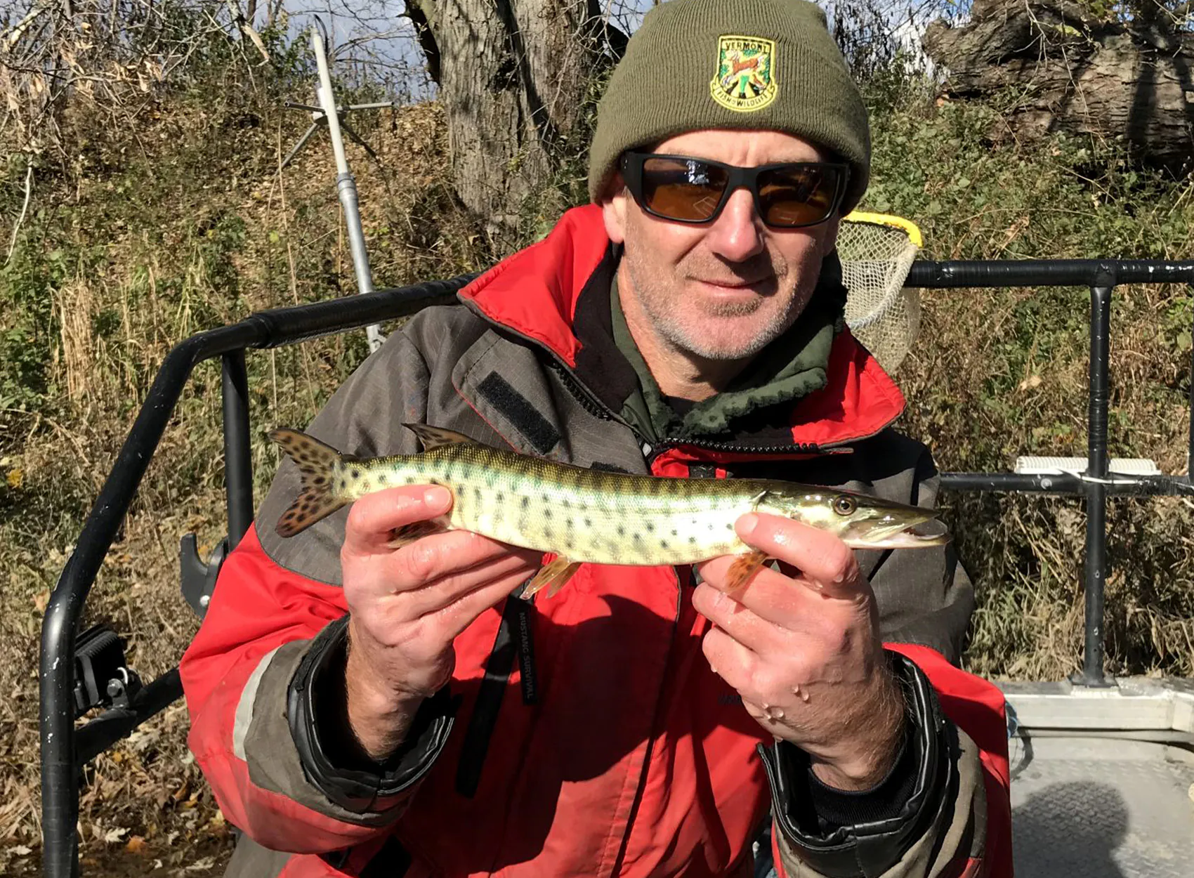 Un biologiste des pêches avec un alevin de musqué.