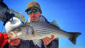La morsure secrète du Early Striper que la plupart des pêcheurs manquent complètement