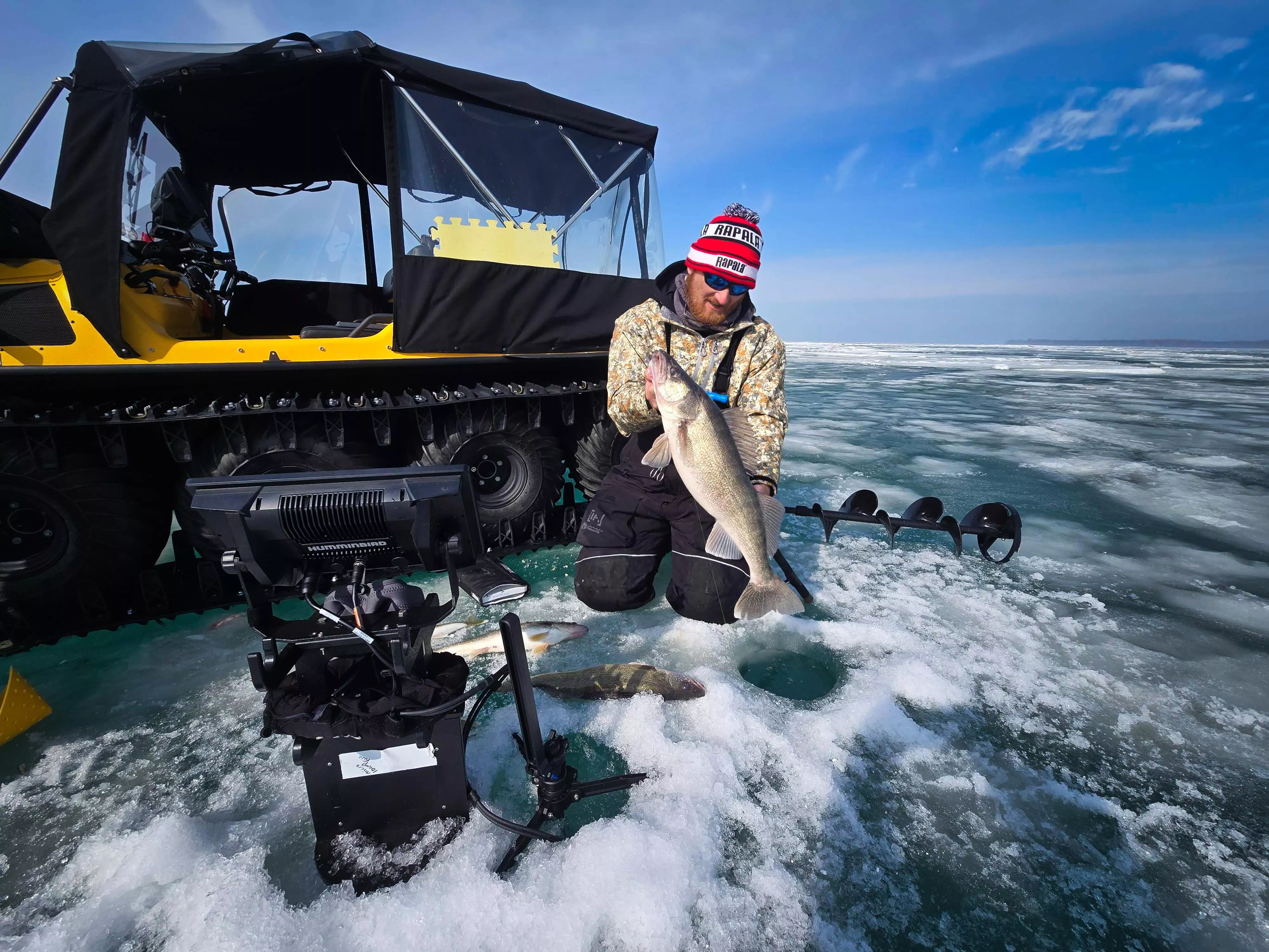Un pêcheur sur glace tire un doré au début du printemps à travers la glace.