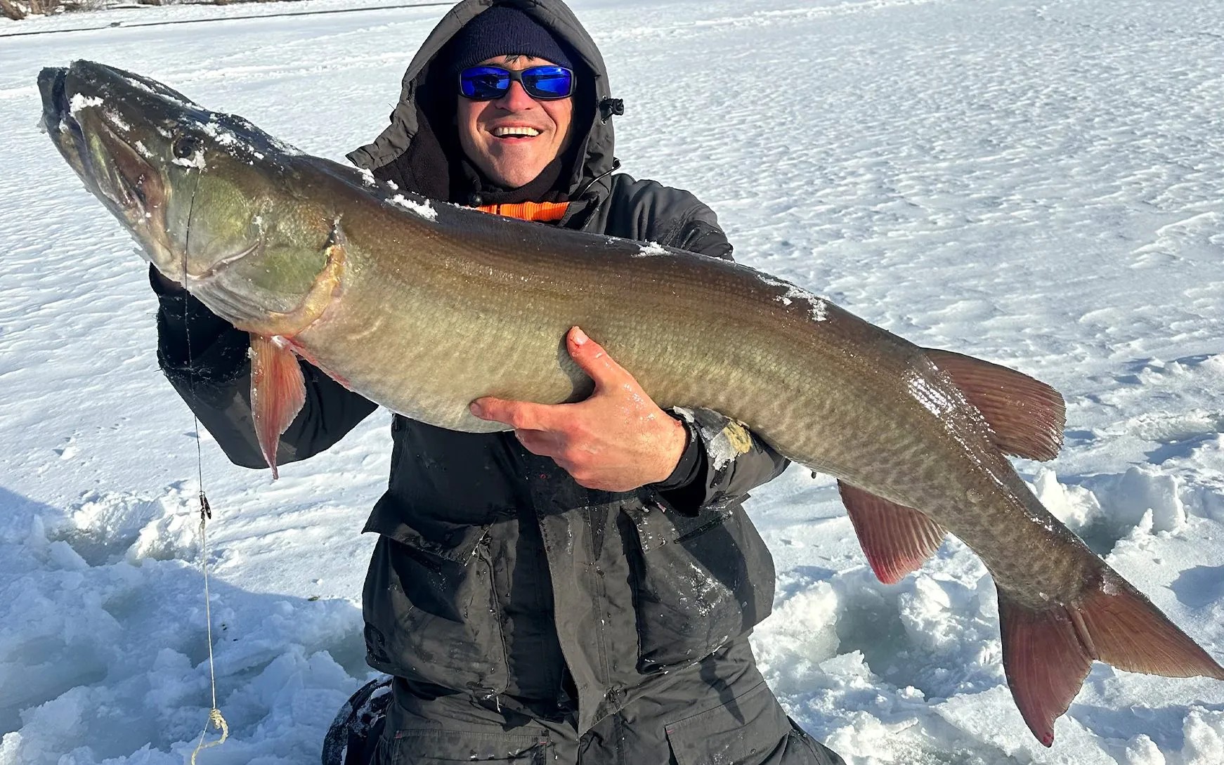 Un pêcheur à la ligne avec un maskinongé de taille record capturé à travers la glace.
