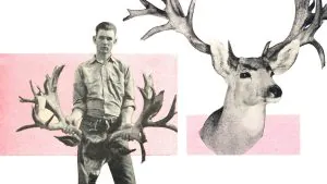 Le chasseur qui a laissé ses bois de record sur la montagne