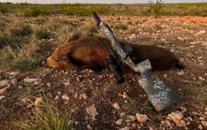 Chasse nocturne 101 : conseils d'experts sur l'équipement, l'optique et les tactiques (vidéo)