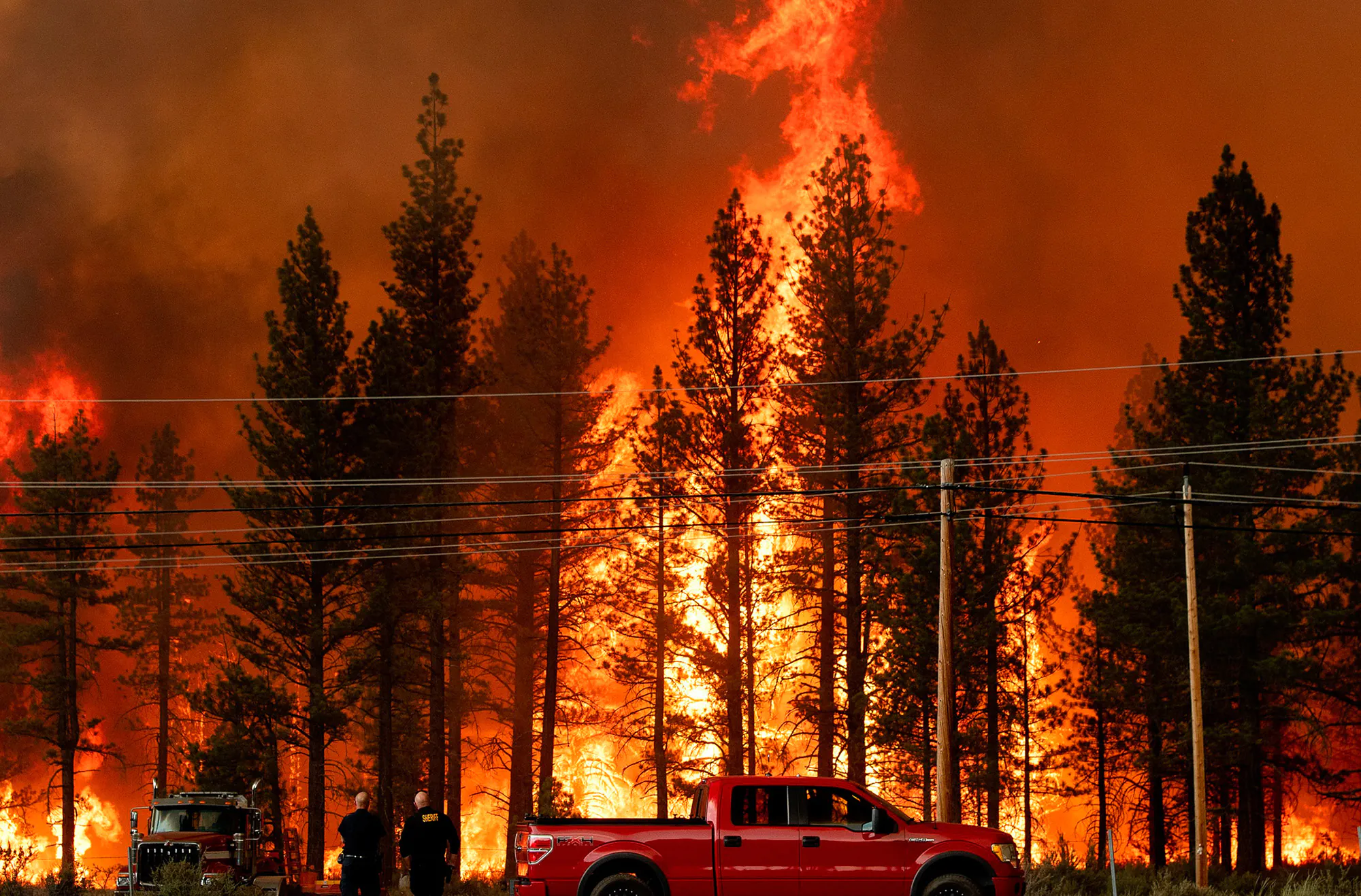 Des flammes s'approchent d'une autoroute lors d'un incendie de forêt en Californie.