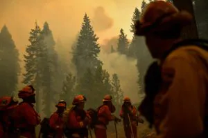 « Tout est prêt à brûler. » L’Ouest se prépare à une brutale saison des incendies