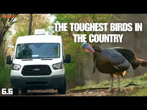 CHASSE À LA DINDE, les endroits les plus difficiles du pays