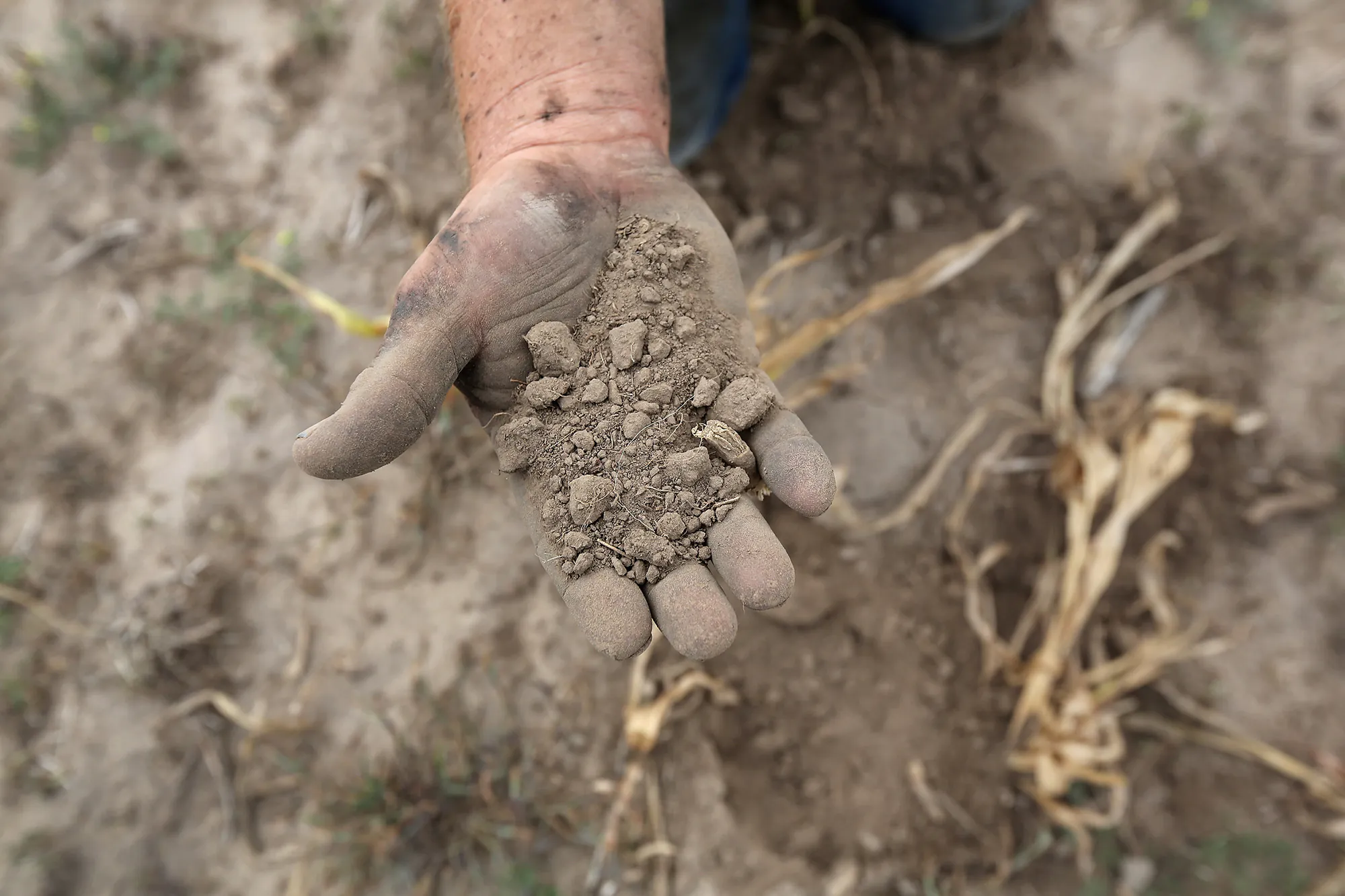 Un agriculteur passe au crible topso