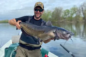 Comment attraper le poisson-chat de rivière – et pourquoi vous devriez le cibler ce printemps