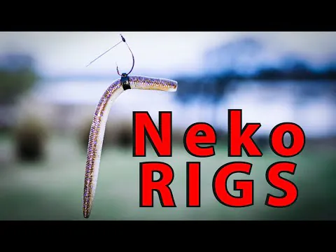 Neko Rig Fishing For Bass : tout ce que vous devez savoir ! vignette