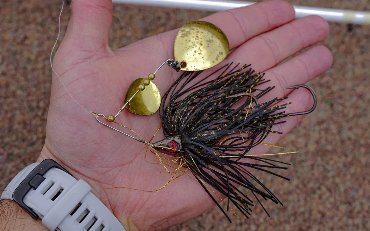 Un spinnerbait brandi devant la caméra.