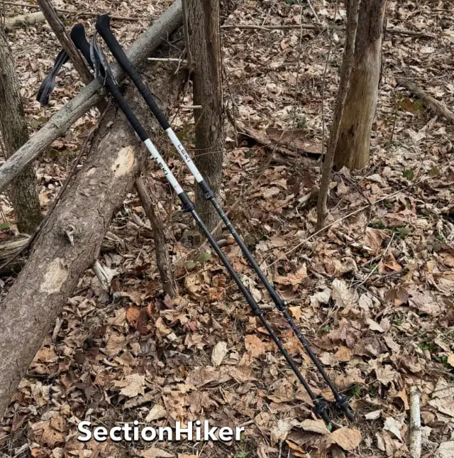 Bâtons de randonnée Leki Skyterra Carbon Lite