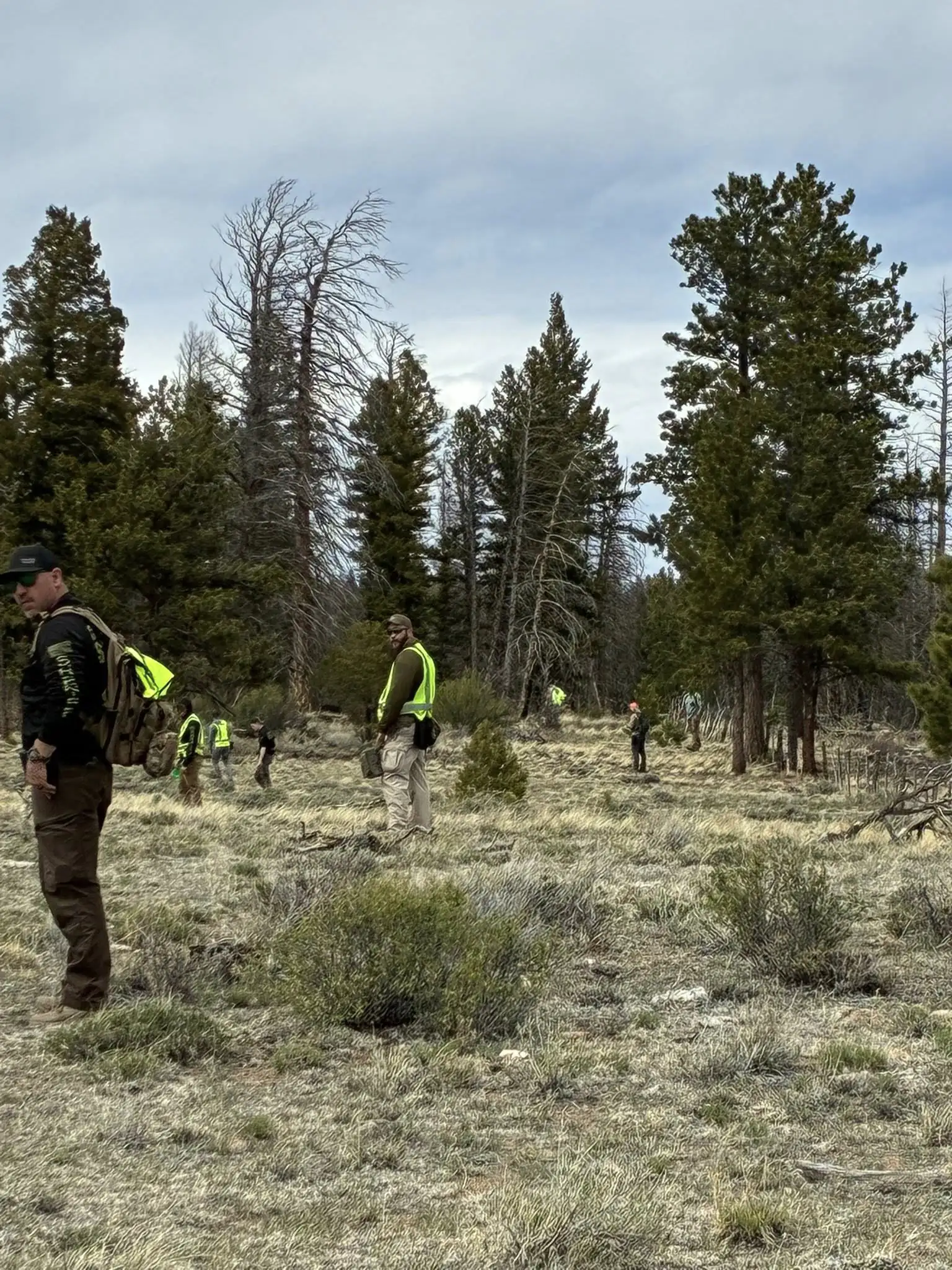 Des chercheurs parcourent les bois à la recherche des sites Kaden.