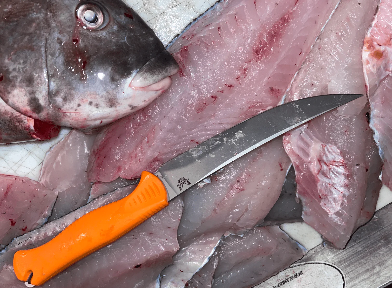 ensemble du poisson