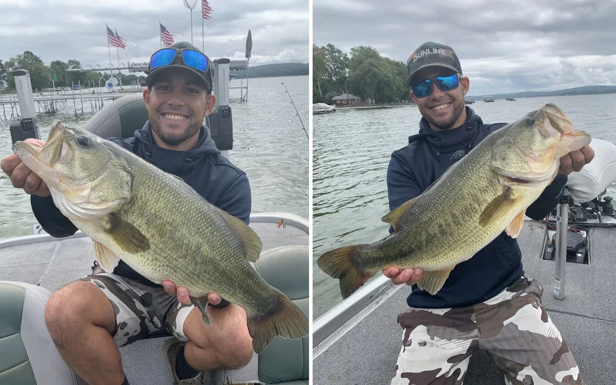 Un pêcheur à la ligne brandit deux grandes bouches géantes qu'il a capturées sous un quai.