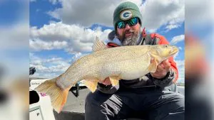 Un pêcheur de doré attrape un record mondial en attente de Pikeminnow – le poisson indigène dont la tête est mise à prix