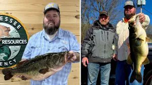 « Maintenant, c'est un poisson. » Cet achigan à grande bouche vient d'être déclaré nouveau record du Tennessee