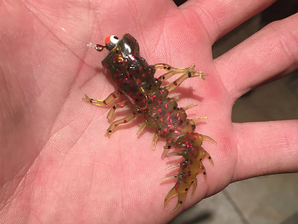 leurre de pêche au bluegill dans la paume