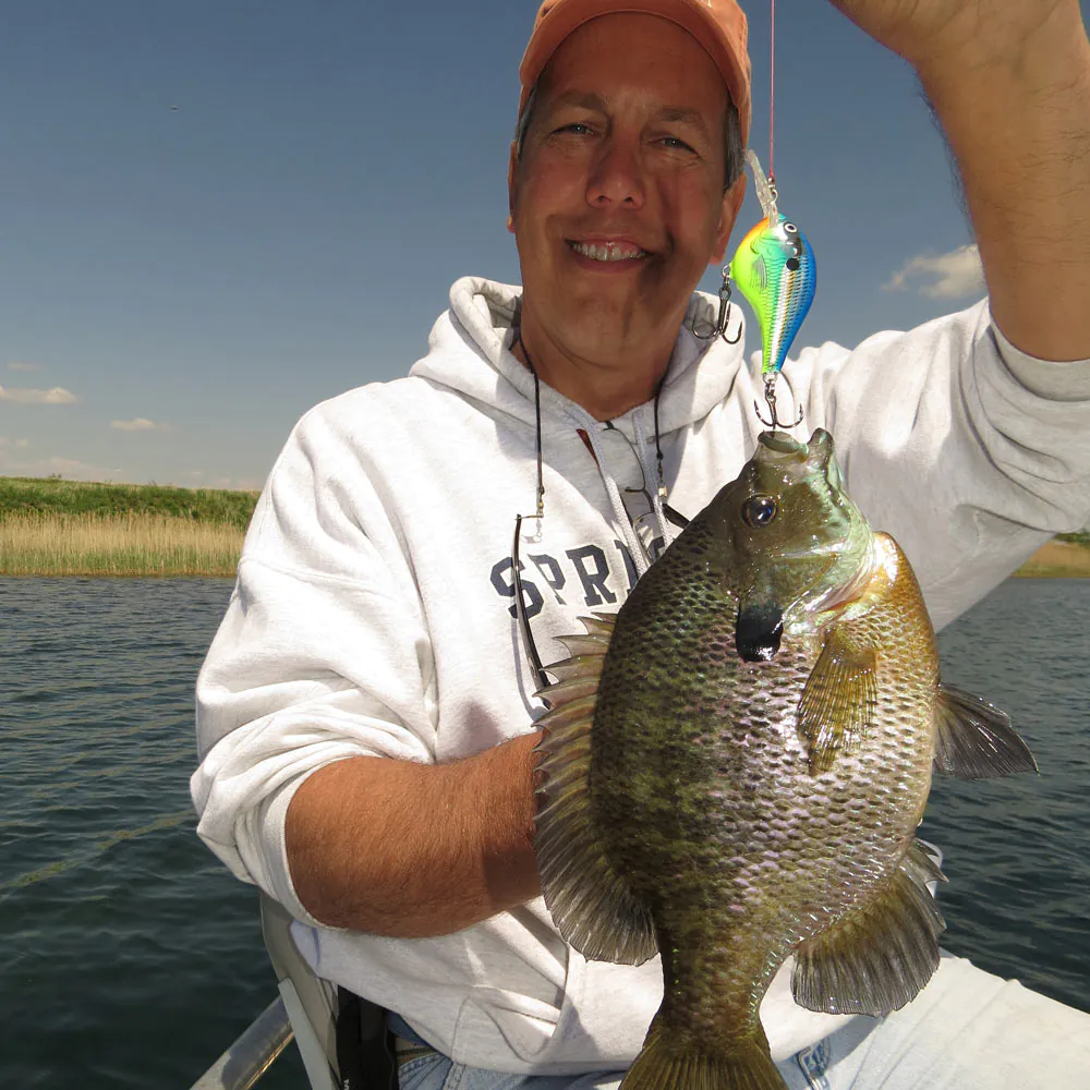 pêcheur avec un bluegill fraîchement pêché