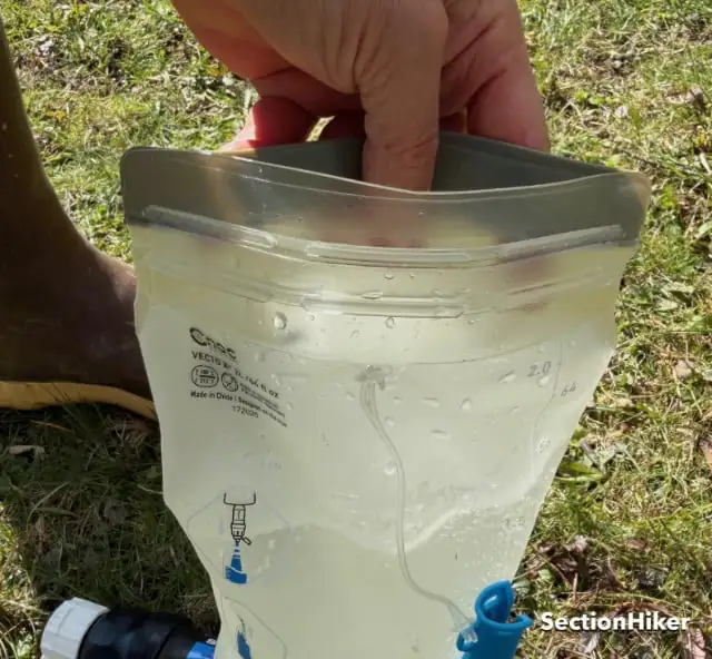 L'arrière de la vessie s'ouvre largement pour évacuer l'eau des ruisseaux ou des lacs.