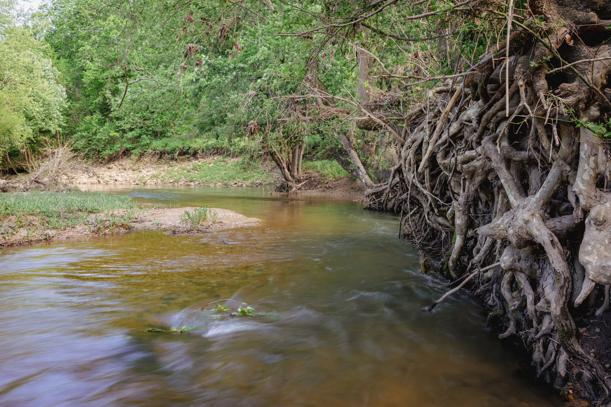 L'eau coule près du ruisseau
