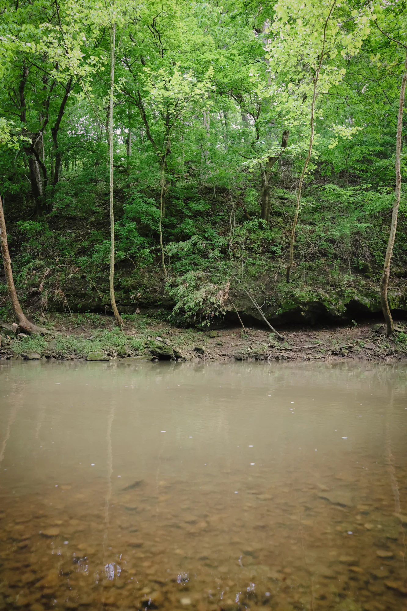 Un lit de ruisseau